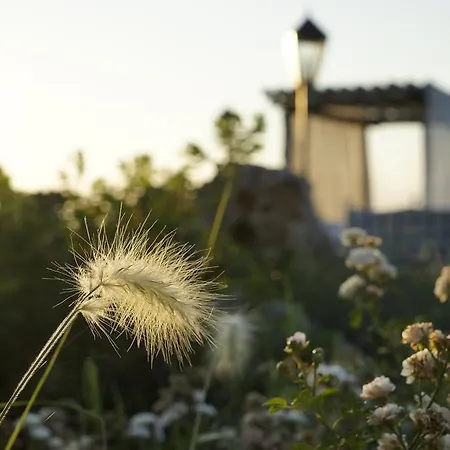 Agriturismo L'incontro *
