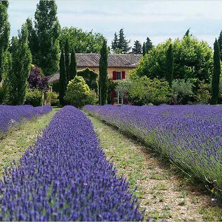Agriturismo L'incontro Farm stay *