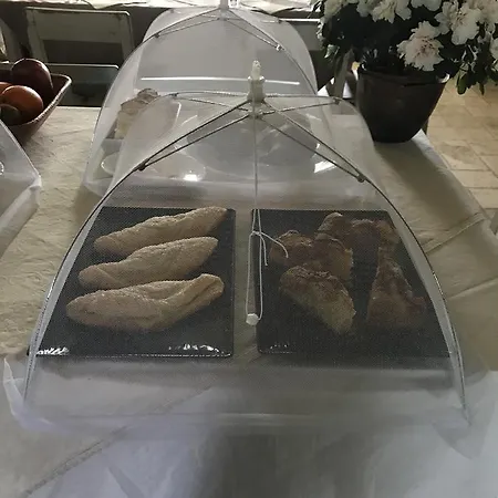 Alloggio per agriturismo Agriturismo L'incontro
